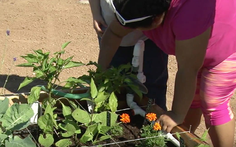 People involved in the program have the opportunity to work Monday and Friday five hours a week.