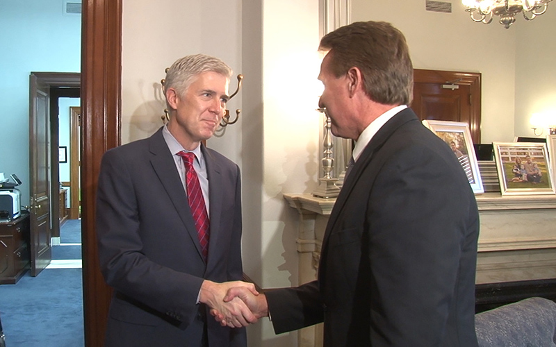 Flake Gorsuch