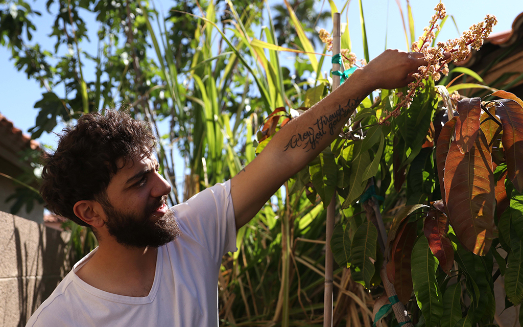 Justin Haddad points at flowers growing in his backyard. “My favorite flowers have always been mango flowers,” Haddad said. “I grew this plant from seed.” Photo taken in Glendale on April 16, 2023. (Photo by Paula Soria/Cronkite News)