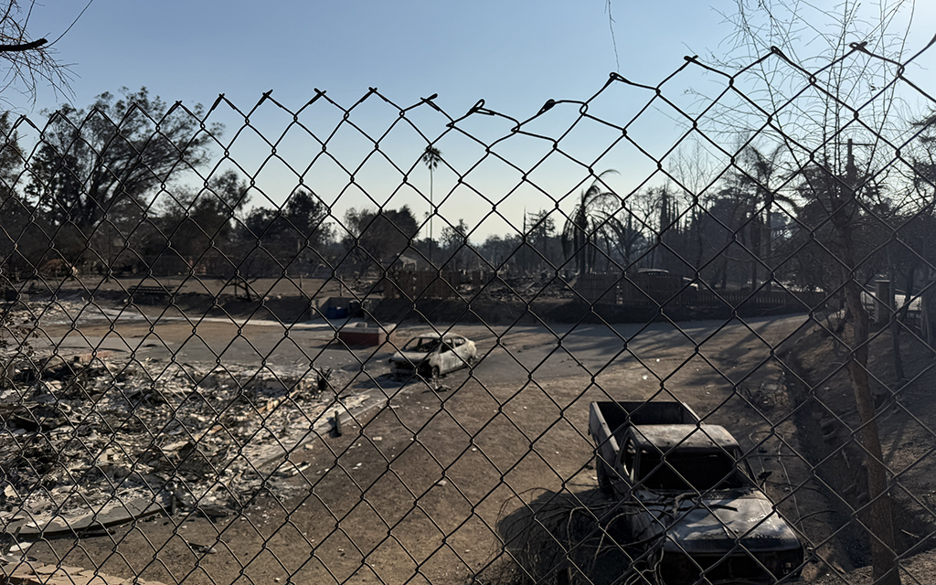 View through a chain-link fence of a charred landscape with debris and burnt vehicles.